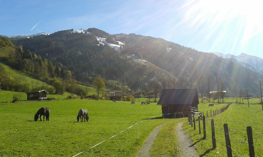 Haus Fankhauser Leilighet Dorfgastein Eksteriør bilde